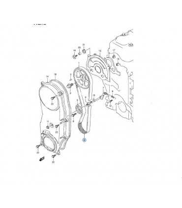 Correa distribucion CHINA