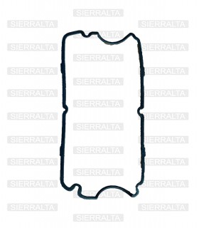 Empaquetadura tapa valvulas INDIA