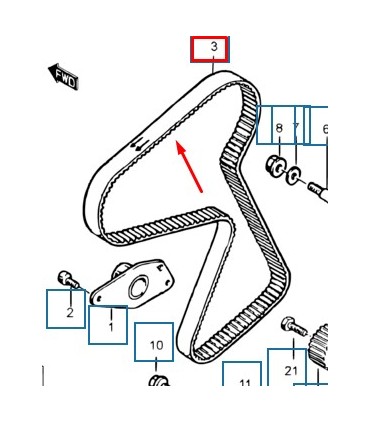 Correa distribucion INGLESA
