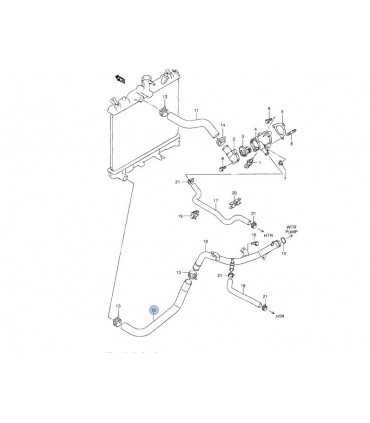 Manguera inferior radiador INDIA