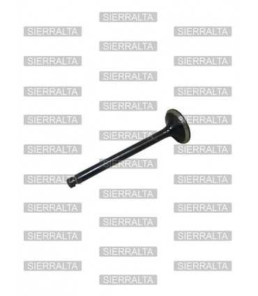 Valvula admision ORIGINAL