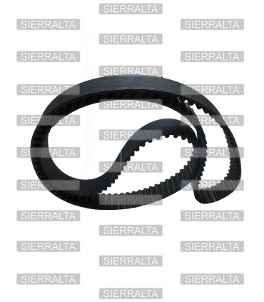 Correa distribucion INGLESA