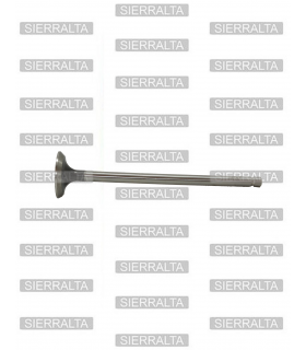 Valvula escape JAPON