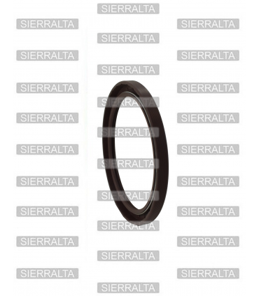 Reten eje de levas ARGENTINA