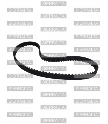 Correa distribucion KOREA