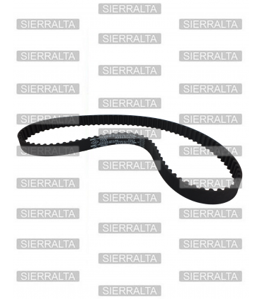 Correa distribucion KOREA