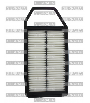 Filtro de aire INDIA