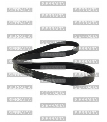 Correa de ventilador alternador (4PK800) JAPON