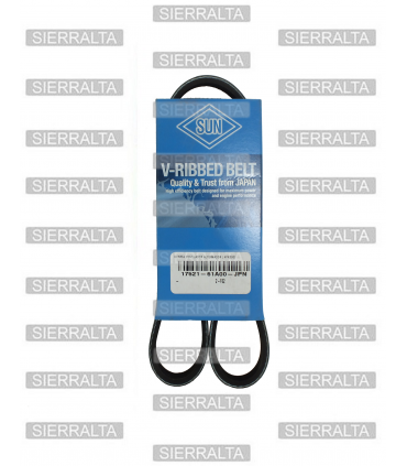 Correa de ventilador alternador (4PK800) JAPON