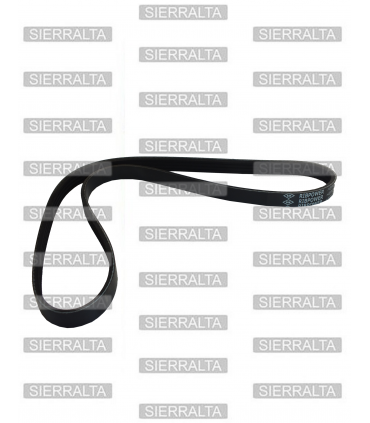 Correa Ventilador 4PK835 TOP-GEAR