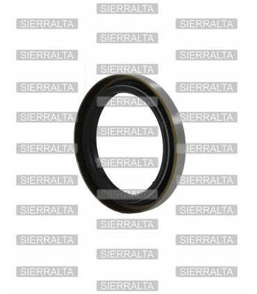 Reten (40x58x10) eje rueda trasera JAPON