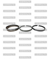 Anillos de motor 1.00 JAPON