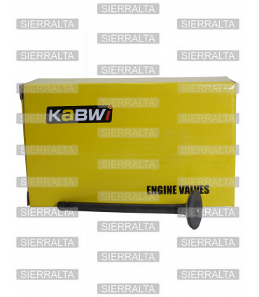 Valvula escape CHINA