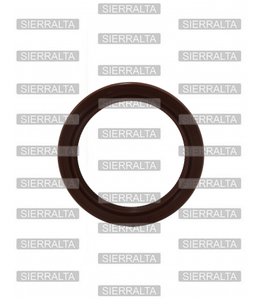 Reten delantero cigueñal (41X53X6) JAPON