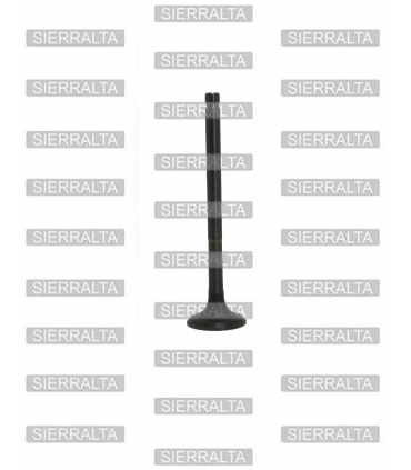 Valvula de Admisión INDIA