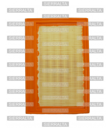 Filtro de aire INDIA