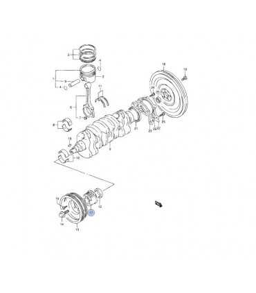 Piñon cigueñal INDIA
