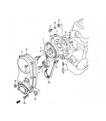 Correa distribucion INGLES