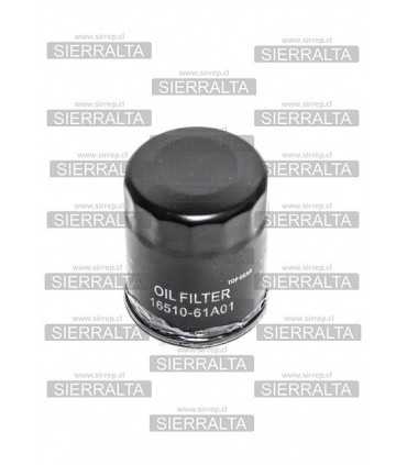 Filtro de aceite (W610/80) NACIONAL