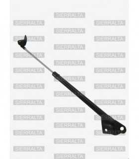 Amortiguador de portalon derecho TAIWAN