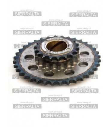 Piñon distribucion ORIGINAL