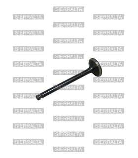 Valvula de escape ORIGINAL