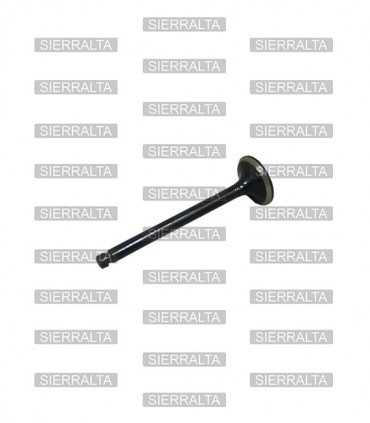 Valvula de escape ORIGINAL