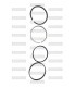 Anillos de motor (Juego) STD JAPÓN