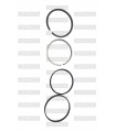 Anillos de motor (Juego) STD JAPÓN