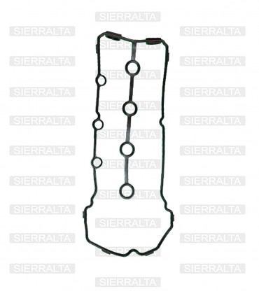 Empaquetadura de tapa vavulas con VVT TAIWAN