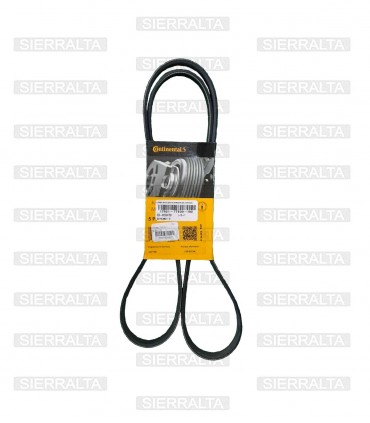 Correa ventilador alternador S/A (5PK1545) JAPON