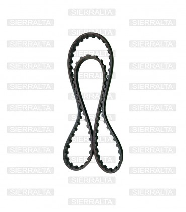 Correa distribucion ( 88ZA19) JAPON