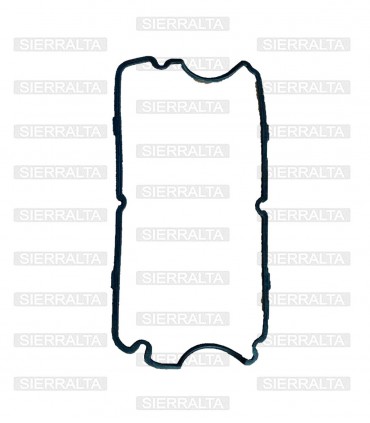 Empaquetadura tapa valvulas INDIA