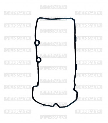 Empaquetadura de tapa de válvulas INDIA