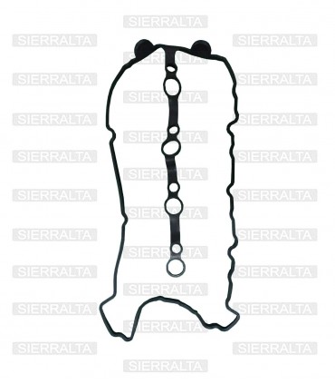 Empaquetadura de tapa de válvulas TAIWAN