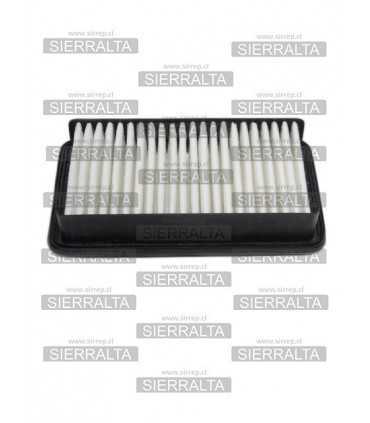 Filtro de aire (C-2423) CHINA