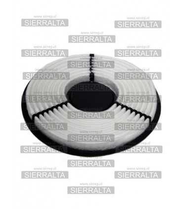 Filtro de aire (C-2224/2) CHINA