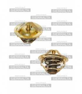 Termostato (W52-82) JAPON